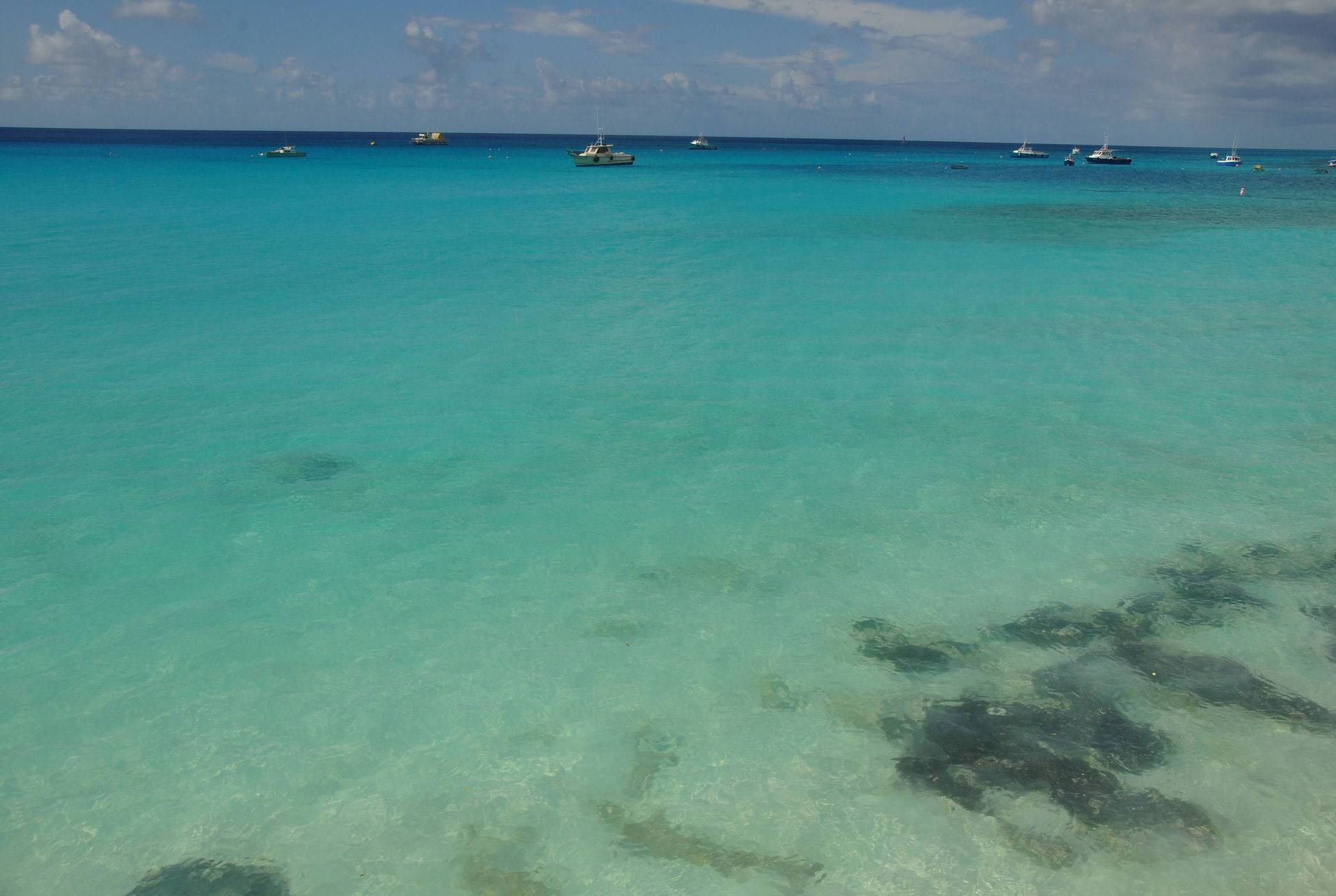 Quelle est la température de l’eau  de mer à Miami ?