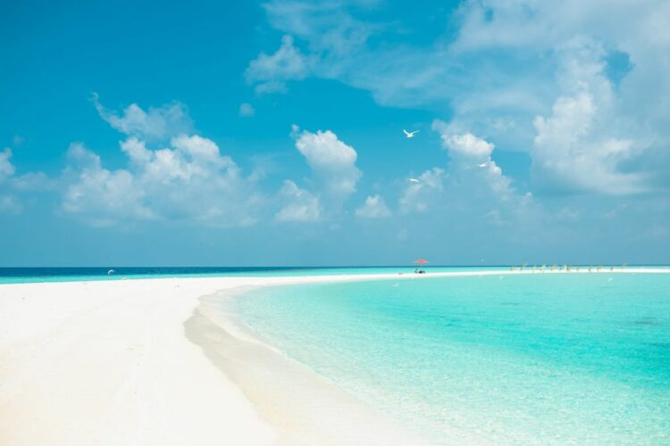 Aller aux Bahamas depuis Miami