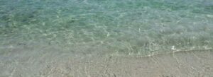 Il n'y a que très peu d'algues sur les plages de Miami Beach