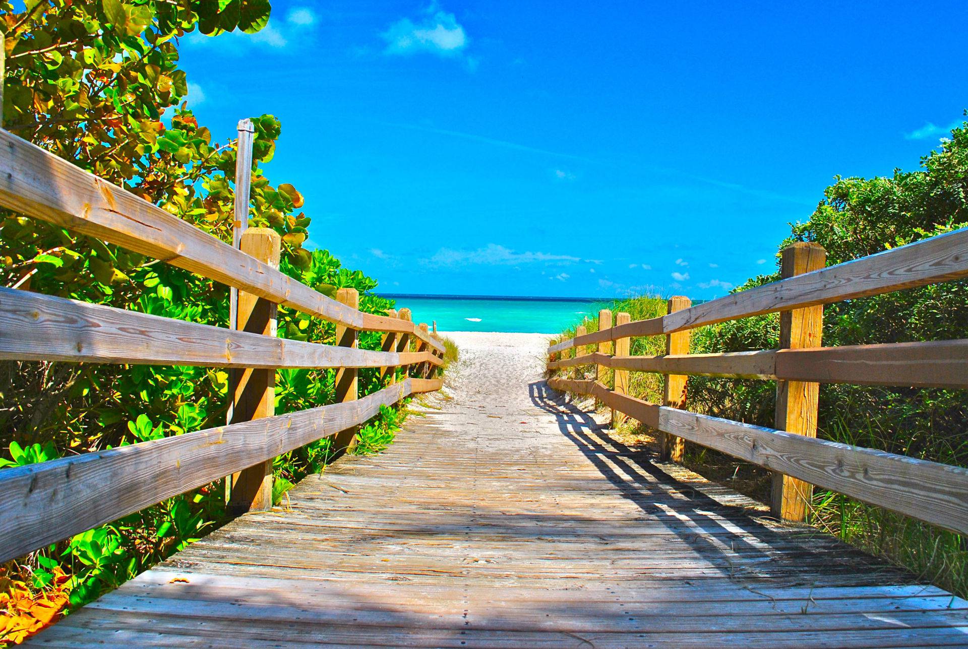 Que faire à Miami : 50 idées pour vos vacances !